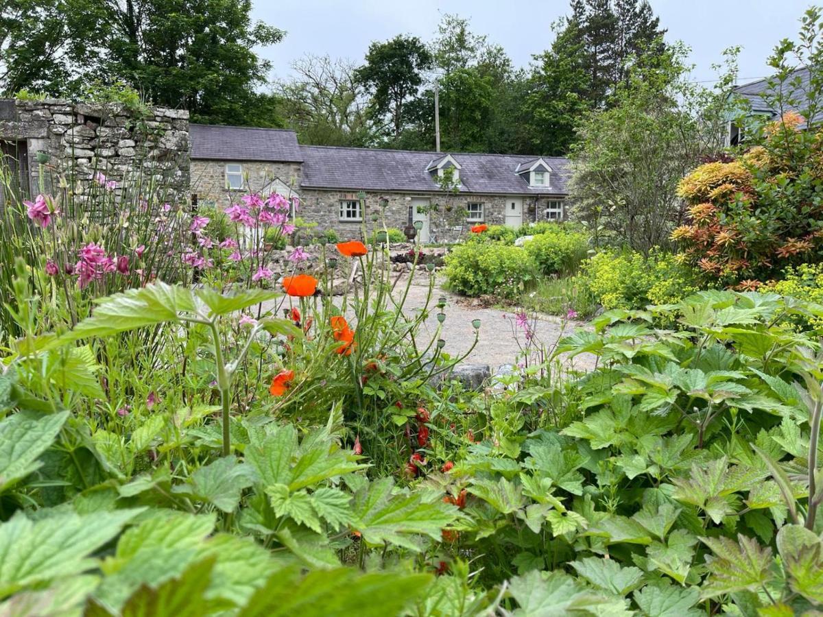 Crug Yr Eryr Isaf Villa Llandysul Bagian luar foto